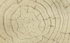 Couchtisch Preveto -Tischety Verkaufe 11327813 10 202110271257