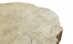 Couchtisch Preveto -Tischety Verkaufe 11327813 13 202110271257