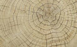 Couchtisch Preveto -Tischety Verkaufe 11327813 8 202110271257