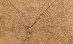 Couchtisch Jalmicco -Tischety Verkaufe 11328893 7 202206091236