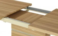 uno Säulen-Esstisch ausziehbar Denzel -Tischety Verkaufe 14307653 7 202107222232